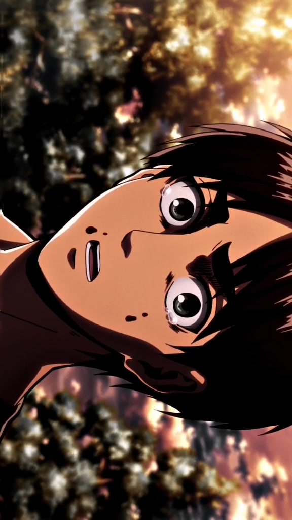 #aot #shingekinokyojin #anime #edit