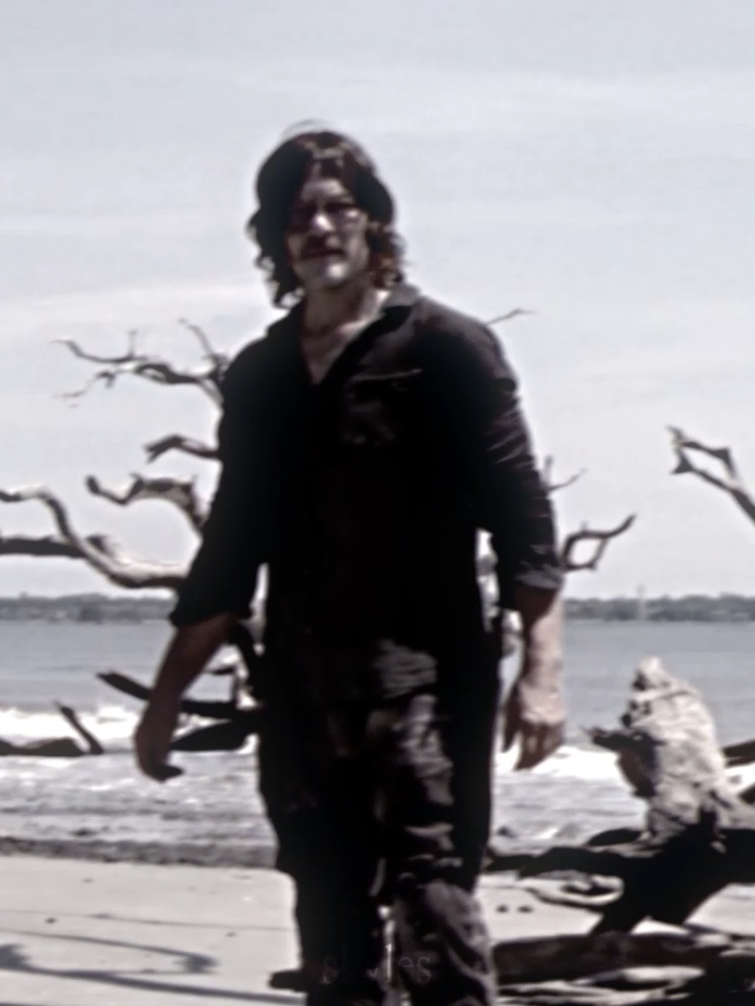 daryl dixon | smezir_2slowedc #johnwickballerina #twd #thewalkingdead #daryldixon #ae #aftereffects #pars.edit #skyles #johnwick
