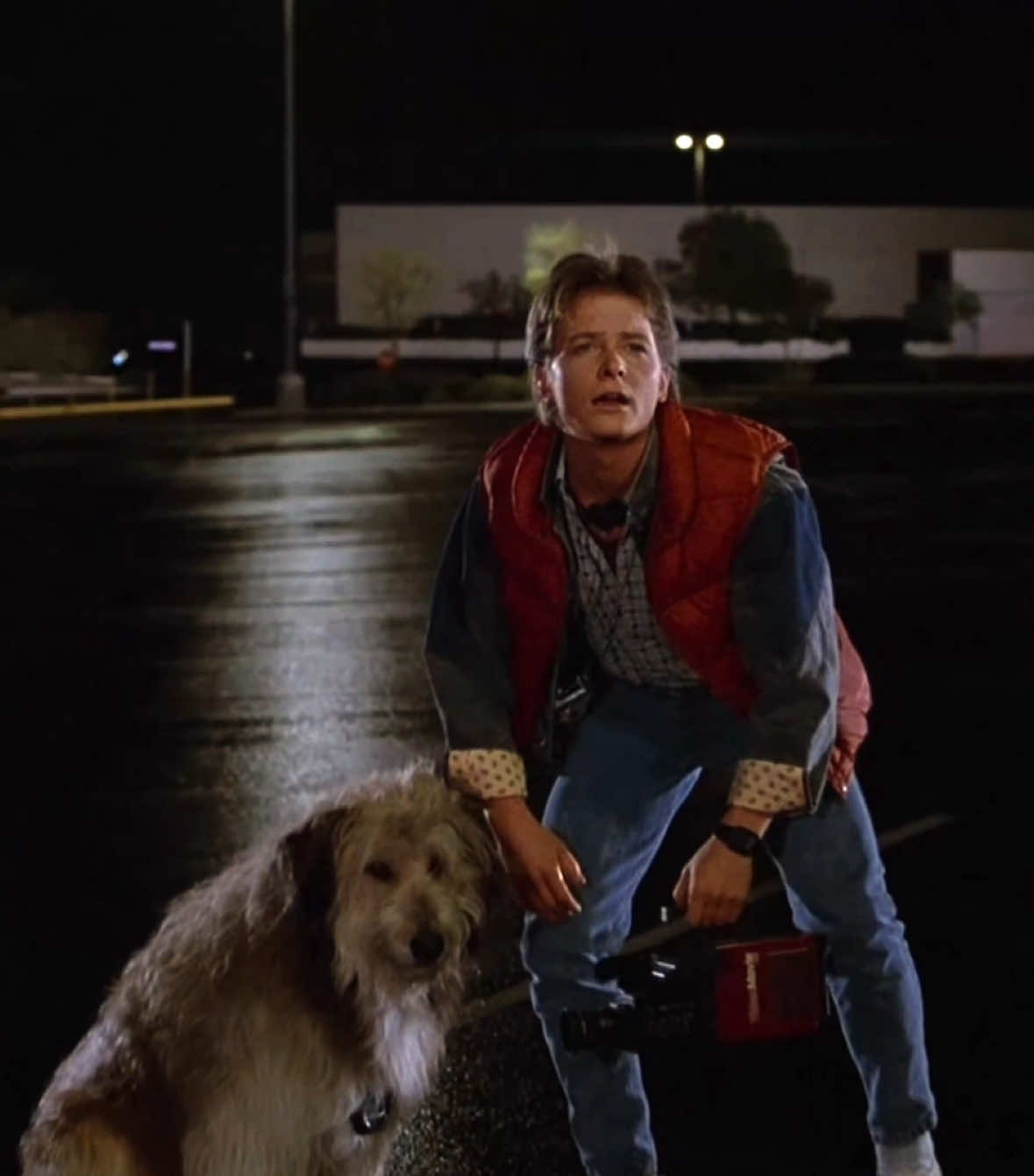Back to the future || #edit #viral #fyp #backtothefuture