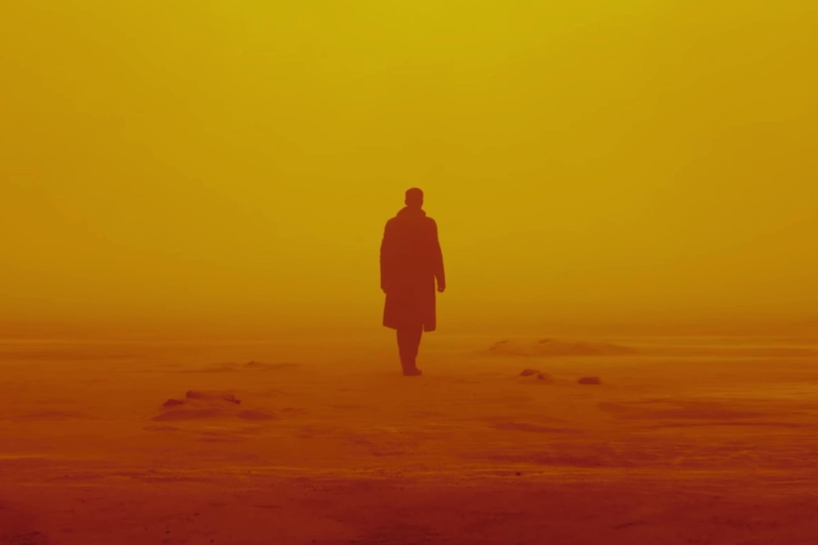 You look lonely || #viral #edit #bladerunner2049 #fyp #movies